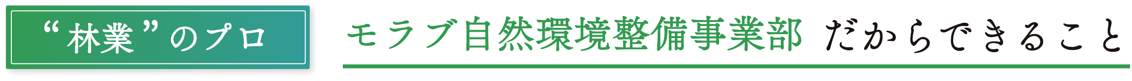 林業のプロ モラブ自然環境整備事業部だからできること