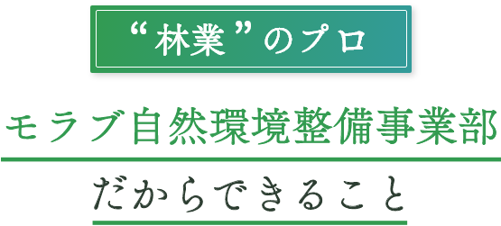 林業のプロ モラブ自然環境整備事業部だからできること